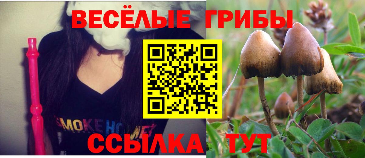 Усинск  наркота  Вход с VPN  Псилоцибиновые грибы прущие грибы 