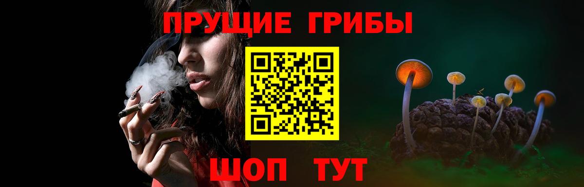 Галлюциногенные грибы Cubensis Усинск
